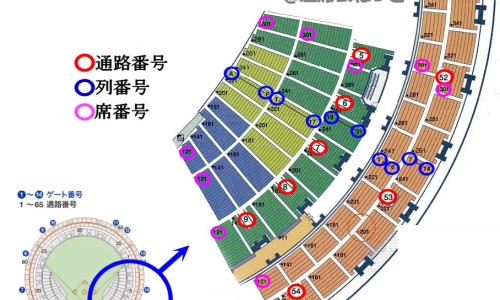 毛囊脓肿图片网 - 毛囊炎脓肿图片,毛囊炎的10种图片